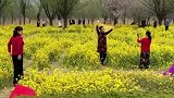 这群广场舞大妈，现在都不在广场跳舞了，目标又改成了油菜花地！