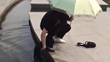 狗子：铲屎的你咋坑我干啥，太坏了！