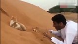 猫咪：怎么越挖越后退，感觉有点不对劲