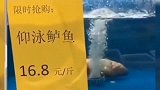 商家真是太机智了，死鱼还有一个名字叫仰泳鲈鱼