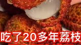 荔枝的正确吃法来了，看完视频的你学会了吗？快去试试吧