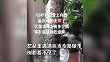 现实版“种钱得钱”！女子花盆存7万硬币两人抬不动