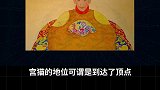 明朝皇帝与猫 的那些事宫猫的发展历程 萌宠出道计划