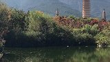 爱情这种东西太极端，要么一生，要么陌生。