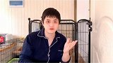 养大狗的同胞们，说出你的烦恼