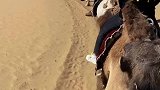 我在外面玩的真开心啊