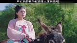 所以骑驴找马是这么来的是吧