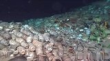 南海水下1500米处发现古沉船，10万多件明代的瓷器，至今保存完好