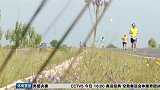 跑步-16年-康保国际马拉松赛 跑者尽览草原风貌-新闻