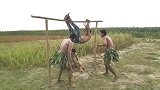 国外搞笑合集，最后一个是野人来袭，太逗了