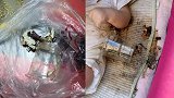 杭州3个月大女婴被从天而降的烟灰杯砸中 排查200户无人承认