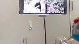 这个手机屏幕放大器效果很不错啊