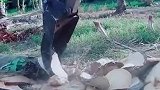 一顿操作猛如虎，奈何对方是高手，这是蓝翔的博士生吧