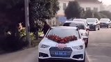 这是什么样的情感，新娘出嫁当天，狗狗狂追十几公里！