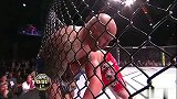 UFC-14年-终结者的UFC之路：莱斯纳争夺UFC重量级冠军对战卡尔文-专题