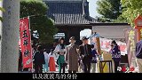 假面骑士零一：零一闪耀飞蝗形态登场，霸气侧漏！