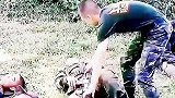 枪是军人的生命，你能分辨出来吗？