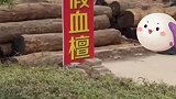 商家诚信”销售原木料，很实在，都标注好了