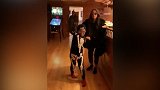 庆祝女儿生日 里贝里与娇妻萌娃一起家中尬舞