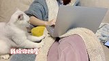 猫咪：讲道理，女生真的很好哄