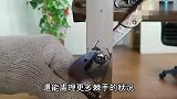牛人发明的自紧扳手,方便灵活,在狭小的空间也能灵活操作