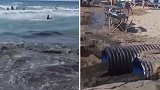 土耳其：污水管爆裂污染热门海滩，游客在污水里玩耍