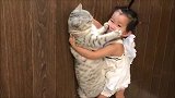 狸花猫：人类的熊孩子，是我们征服地球最大的障碍！