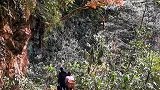 高黎贡山美丽的森林茶马古道。