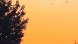 生活在繁忙的日子里，保持一种如水的心态，清澈透明，灵活处世