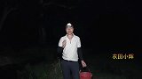 大雨过后稻田水沟里鳝鱼、泥鳅太多了，无意间收获了一条七星鱼