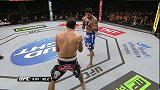 UFC-14年-UFC179：轻量级费雷拉vs达里尤什-全场