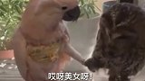 恭喜你！您买的鸭蛋破壳成功了