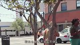 牵着咸鱼逛街，差点让狗吃掉，国外版“小强”让人哭笑不得
