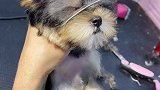 分享今日份的小可爱