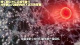 奥特曼中发生过两次大战，都是因为她，能使人黑化，使人背叛！
