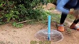 这捕鸟机真牛，用个塑料瓶就自动捕捉野鸟，网友简单易学！