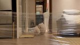 永远想不到下一秒会发生什么