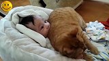 猫咪和小宝真是相见甚欢，同处一处也无纷争，一片和谐啊！