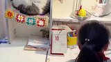 猫咪陪小主人学习，没想到半道睡得跟死猪一样