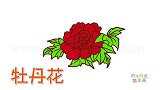 植物简笔画大全，画红色牡丹花简笔画