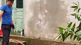 第8集 改造10年没住的老房子，身边朋友都拼了命的去城里买房，而我们却喜欢这样的田园生活，这算不算没出息？