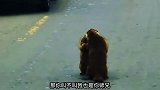 土拨鼠，一个师傅教的，破不了招啊