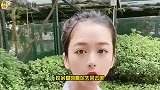 小姐姐和老公的搞笑日常：这辈子怕是戒不了！