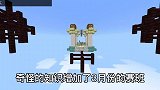 我的世界：你还记得年2月份的梗吗