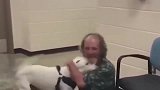 狗狗丢了好久终于被找到，拉布拉多：还好让我能再次遇见你