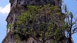 它被誉为最坚强的建筑全部用青石铸成，它屹立几百年不倒