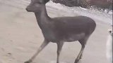 红包我先替孩子收着了