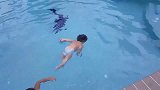 2岁的小萌娃一口气横越泳池，自由泳仰泳随意切换，简直太厉害了