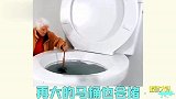 奇葩厕所大开眼界，这反人类设计是真的骚
