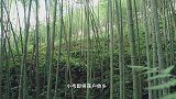 老广的味道：亲手烹制食物，是小辈对老人表达心意的最好方式
